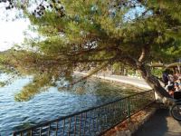 Apartments Villa Andro, Cavtat